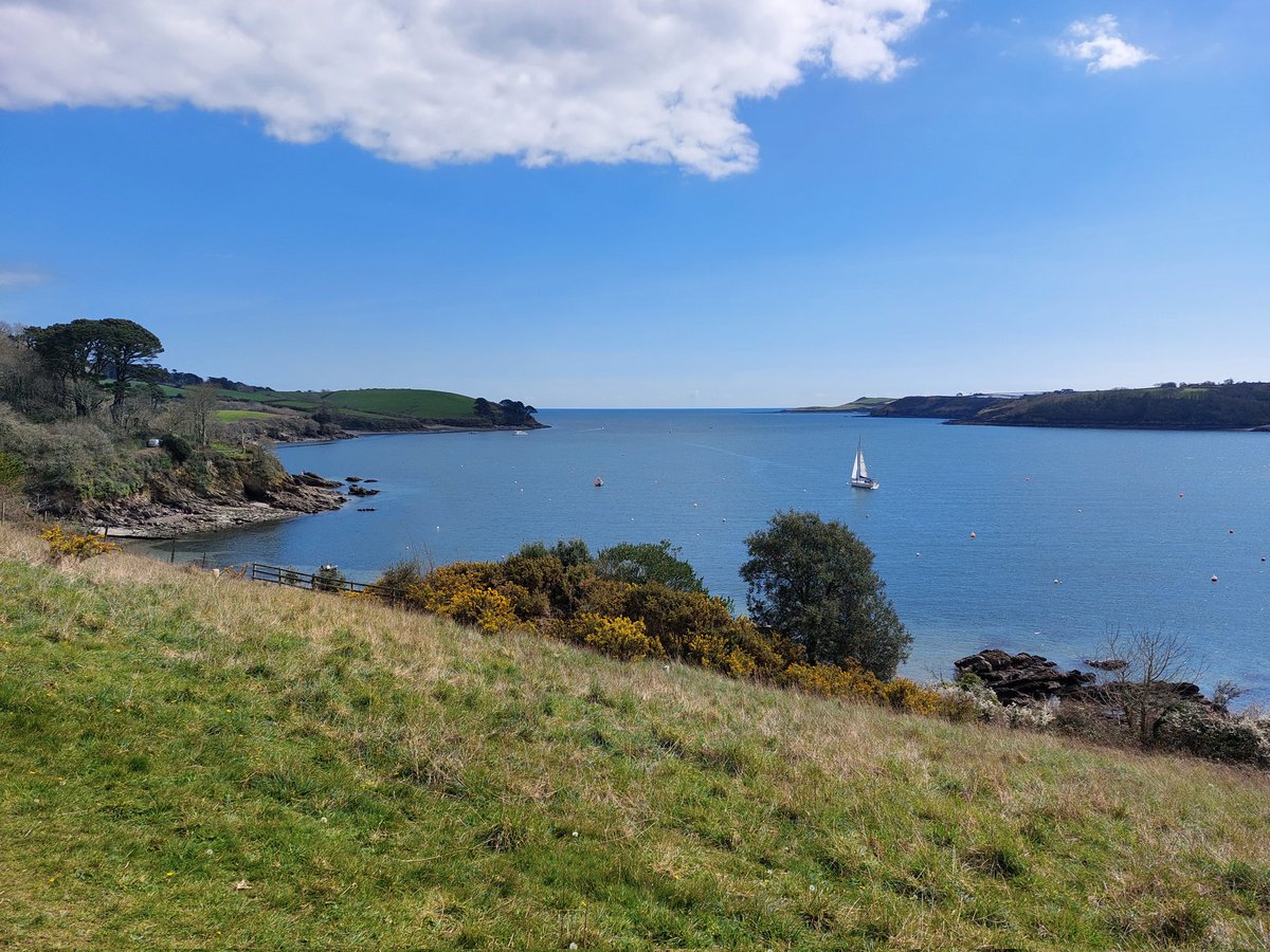 ChrisPBrough's tweet photo. #Durgan looking absolutely beautiful today. #Cornwall https://t.co/hv3EG5Hfif