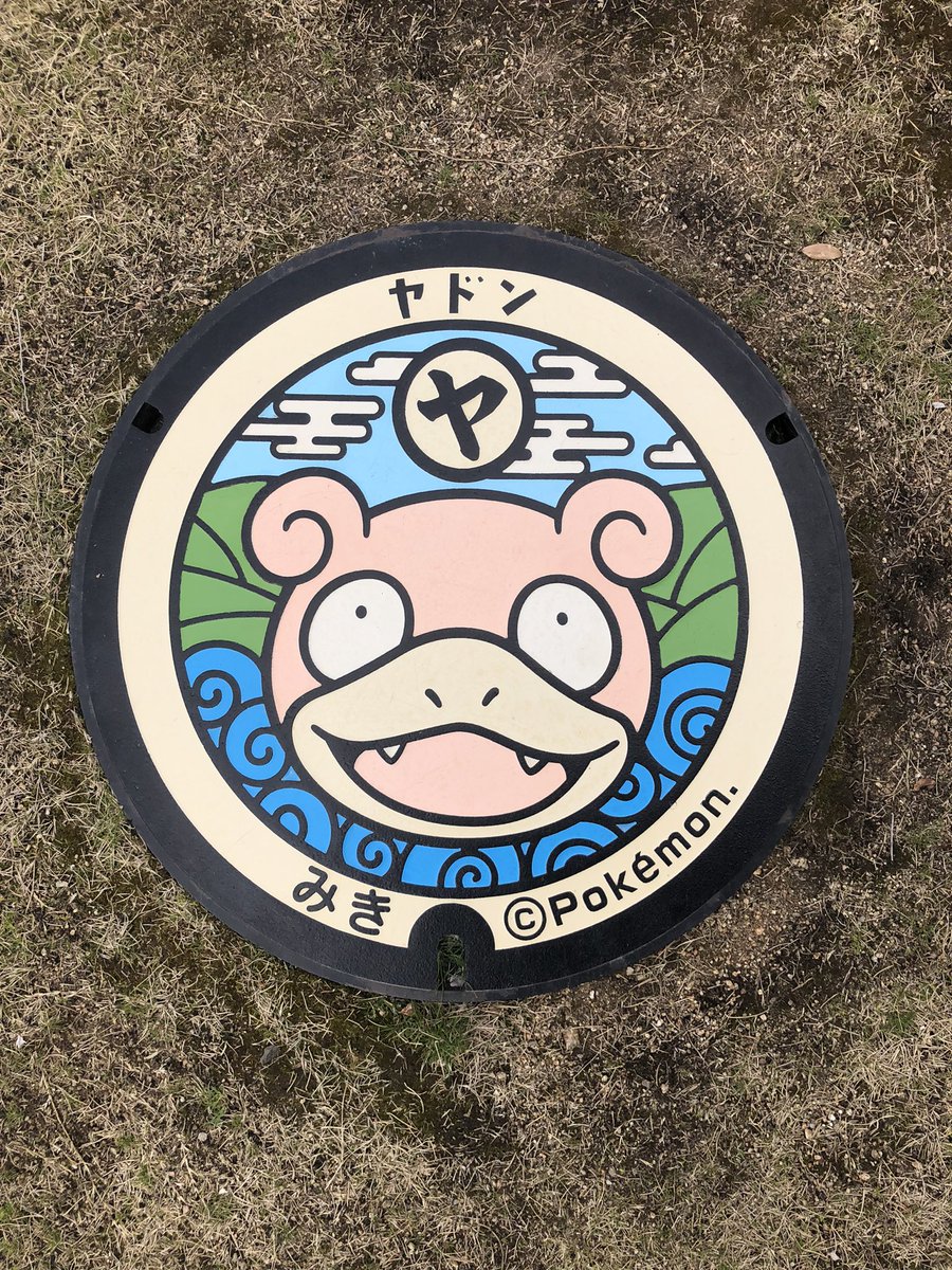 q5tld's tweet photo. 本日4枚目のポケふた https://t.co/4jLsGMo1lX