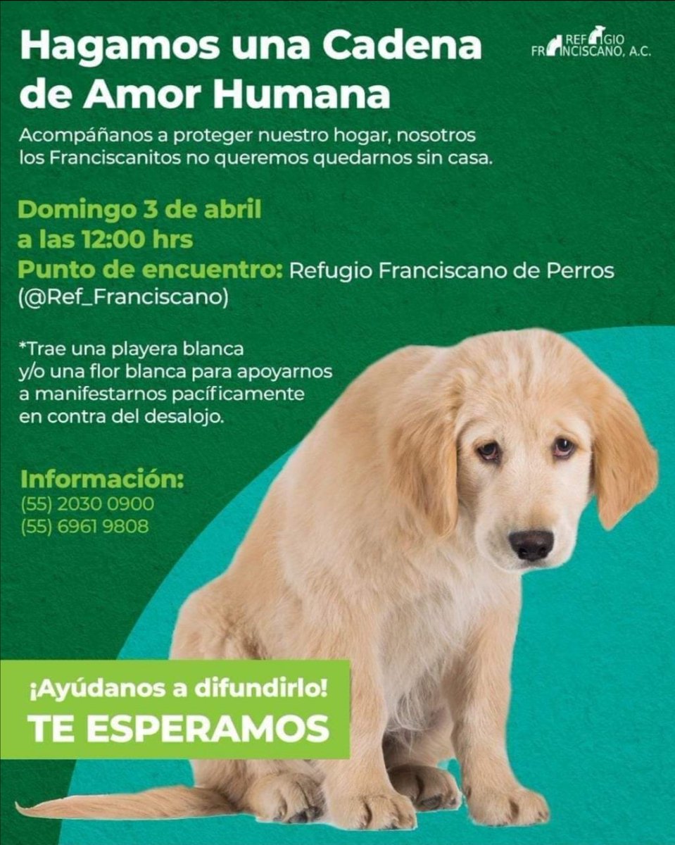 AnimaNat_Mexico's tweet photo. 🔴 @PJCDMX
El juez José Manuel Salazar Uribe, del Juzgado 60 de lo Civil en la CDMX resolvió de forma dudosa e irregular el desalojar a 1200 perros y gatos del @rfranciscano que por testamento heredó esos terreros para su labor y ahora quieren hacer un desarrollo inmobiliario. https://t.co/oxL3cZAUmO