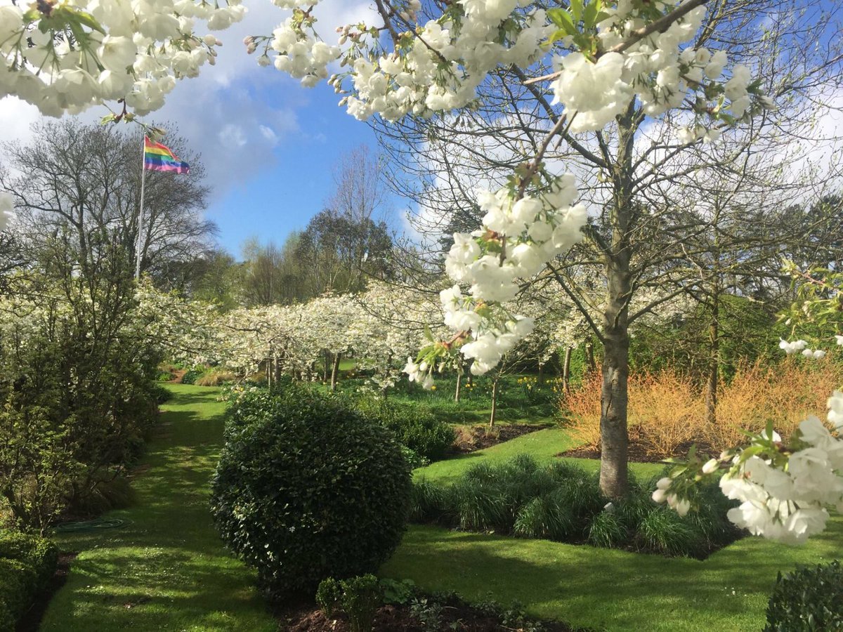 GwentNGS's tweet photo. CHERRY BLOSSOM FESTIVAL at WOODLANDS FARM, Penrhos, Raglan. The garden will open daily from Saturday, 9th April until Friday, 22nd April, 11-3pm. Entrance £5, children free. You may pre-book here https://t.co/Ug11f9uqfN  or simply pay on arrival. https://t.co/J4koTlUTxO