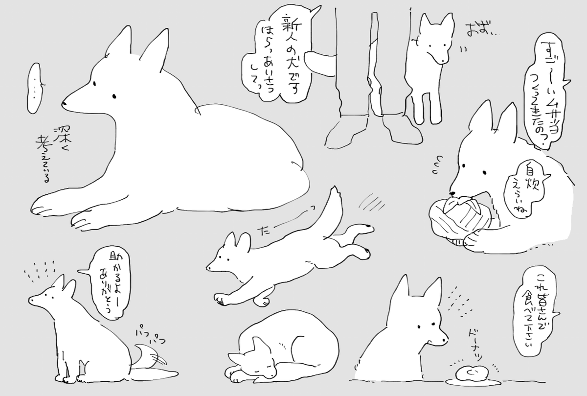 イヌ 