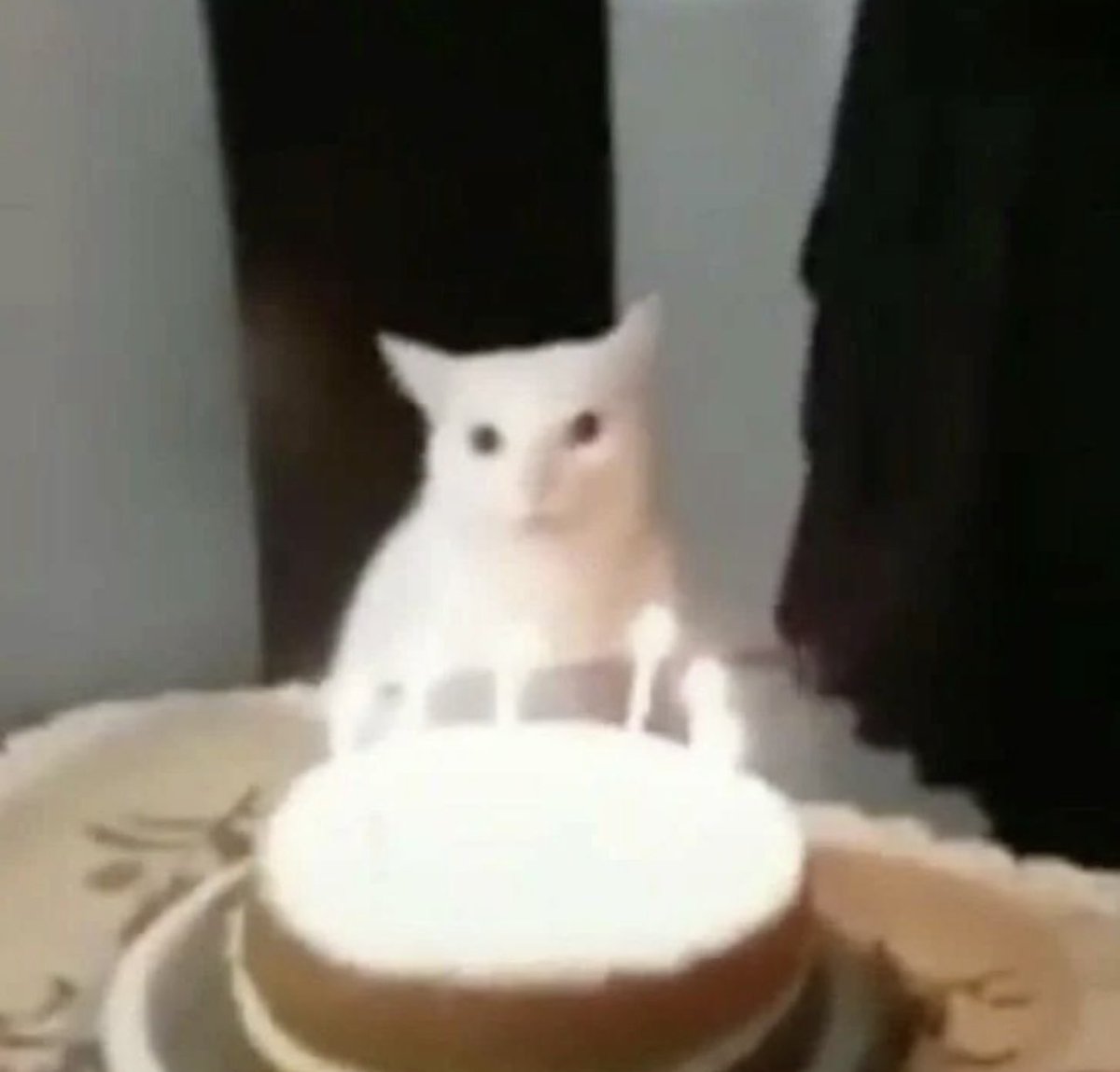 poorlycatdraw's tweet photo. 🎂 https://t.co/InNQlkrUzb