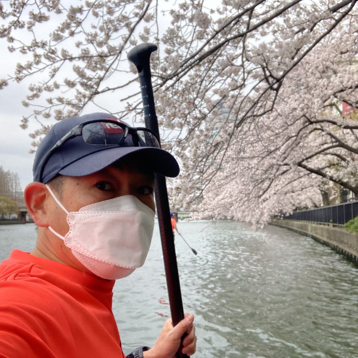 u_sup4's tweet photo. 今日は大川でお花見水上さんぽ。
キレイやった〜 https://t.co/FCdKgcTMXT
