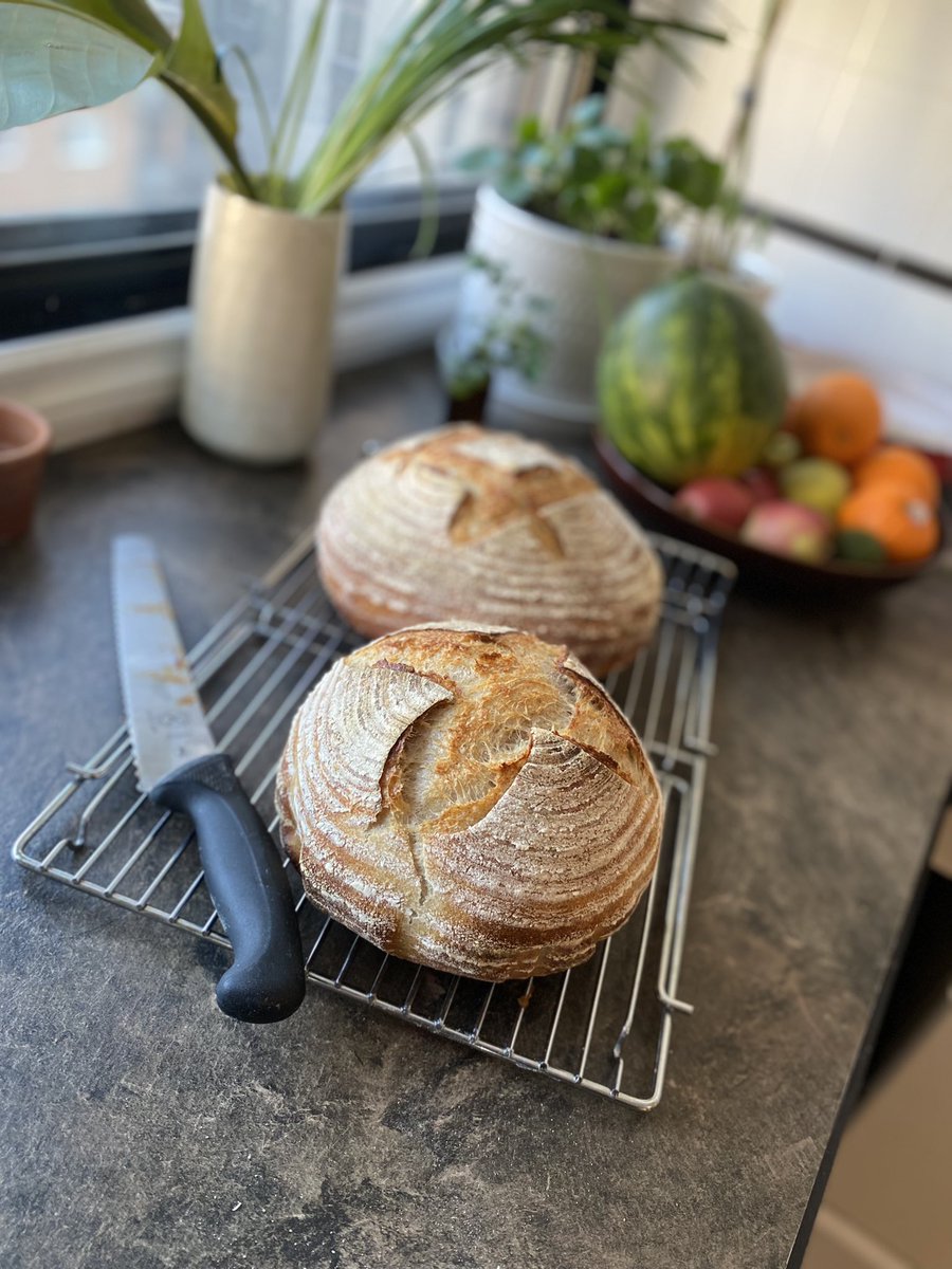 And a couple rye sourdough breads.
