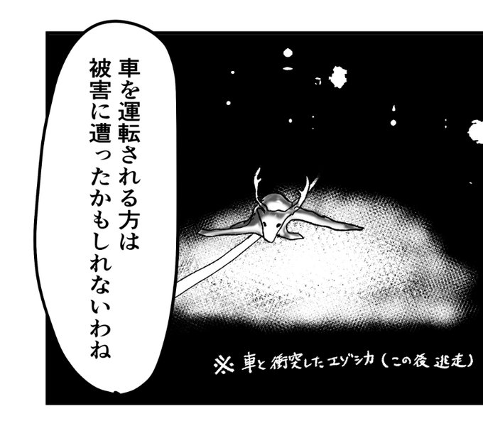 野生動物怖いなあ 