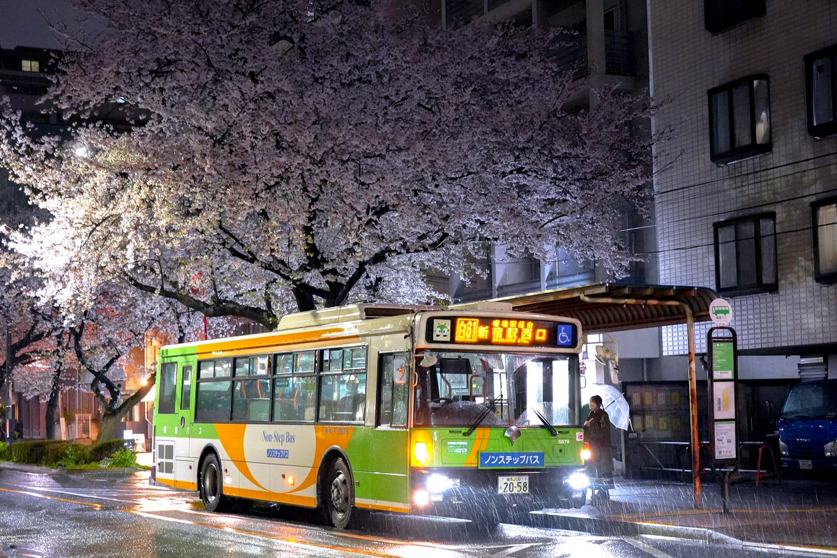 F-S679 [白61] 練馬車庫前の桜