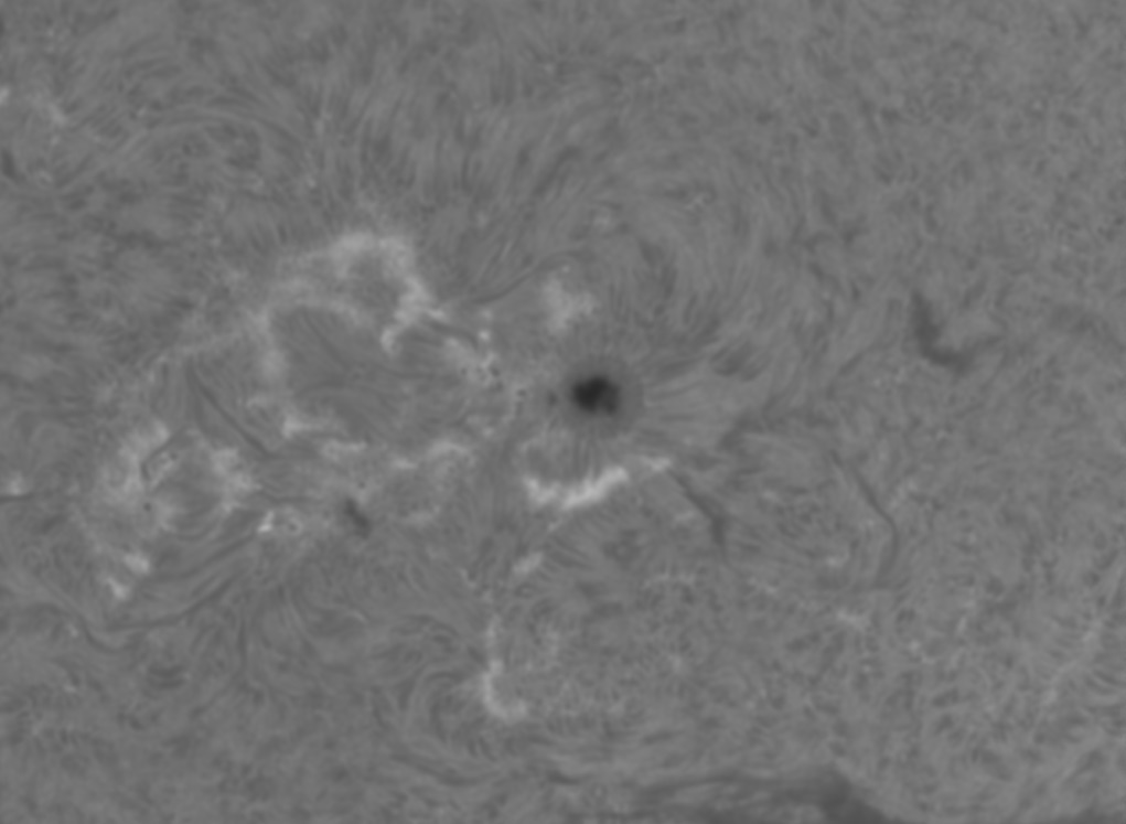 HaSungazer's tweet photo. Todays Sun, a close up of AR2978 and an inverted look at some proms. #SolarAstronomy #SolarImaging #Hydrogenalpha https://t.co/80dBSBP8Ff