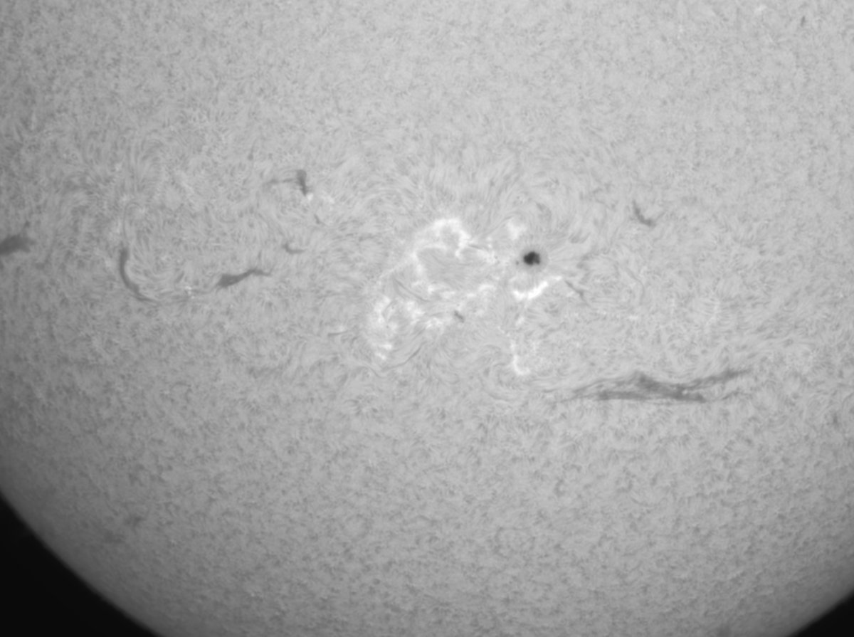 HaSungazer's tweet photo. Todays Sun, a close up of AR2978 and an inverted look at some proms. #SolarAstronomy #SolarImaging #Hydrogenalpha https://t.co/80dBSBP8Ff