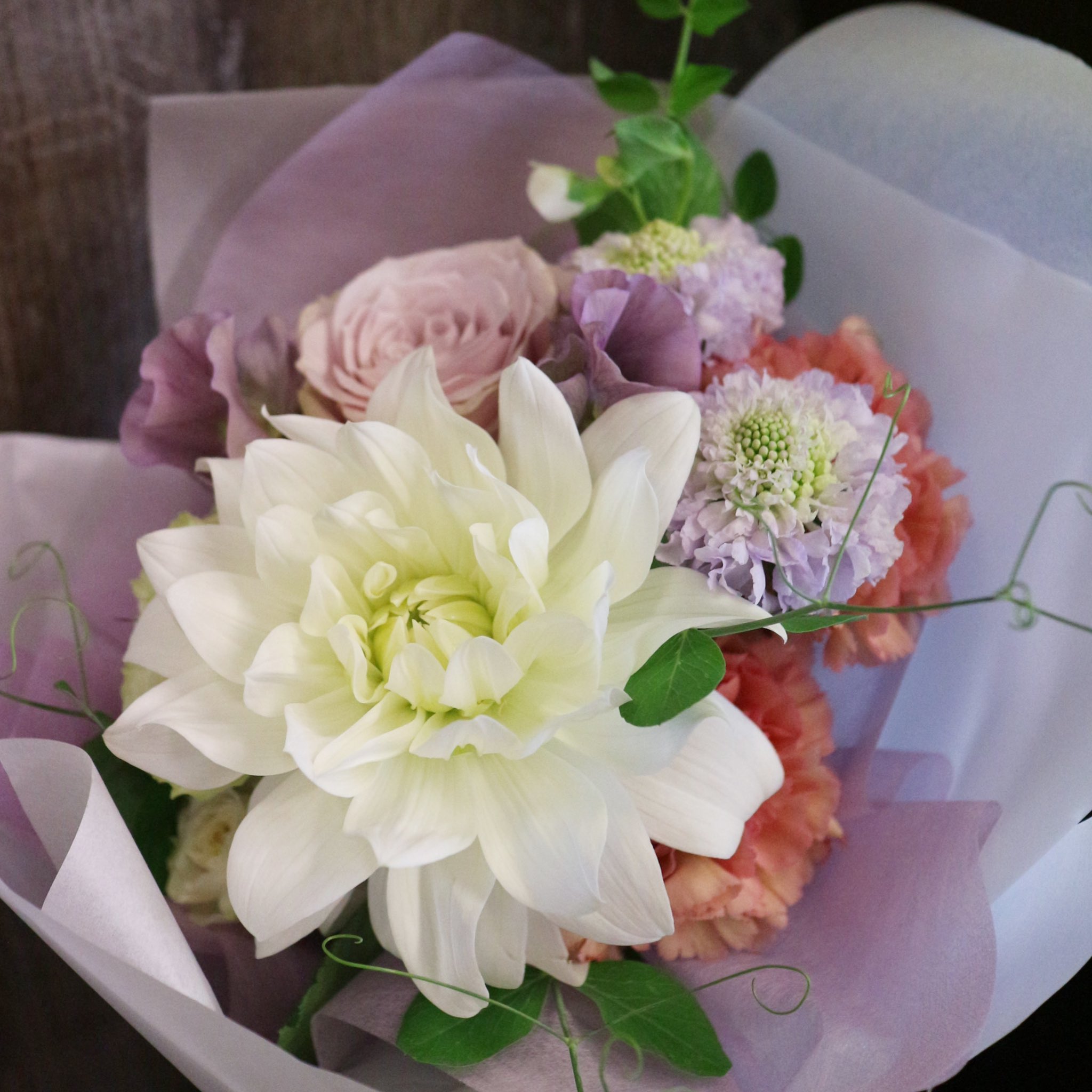 Atelier Toco Atelier Toco Twitter