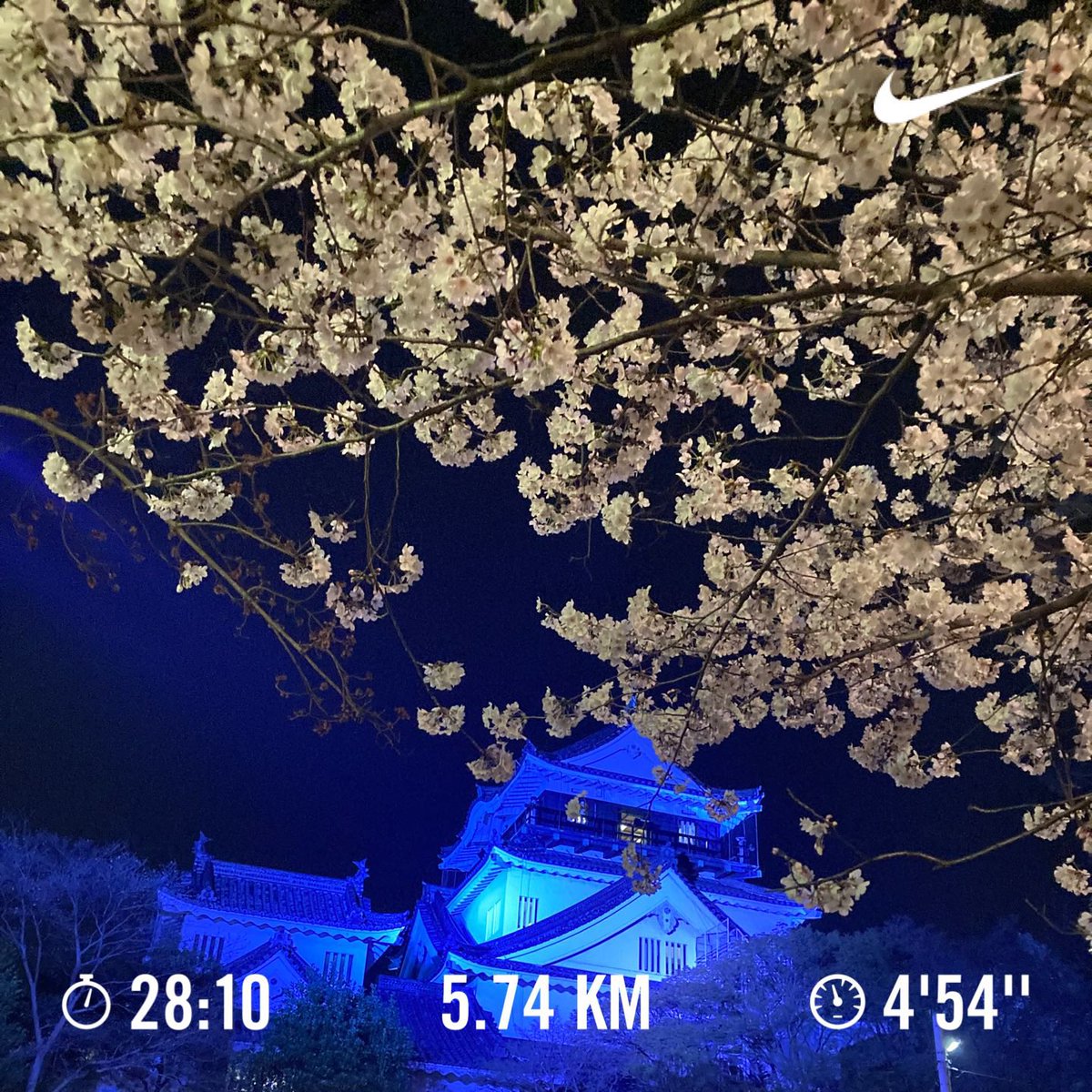 VirtualRunMsCl1's tweet image. #run #runner #Treadmill  #Japan # CherryBlossoms #Sakura #ラン #ランナー #朝ラン #夜桜 #お花見 #桜　#ランニング好きと繋がりたい