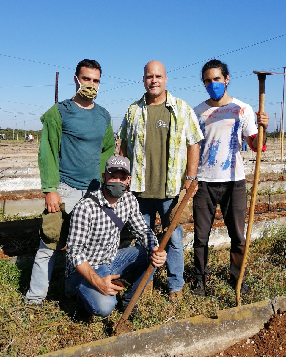 GHNordelo5's tweet image. Entusiasta trabajo productivo en saludo al 4 de abril. #Cuba #VamosConTodo #UJC60años #CDRCuba #SomosDelBarrio