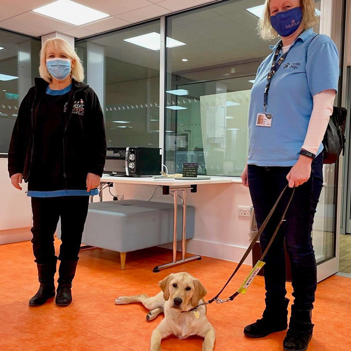 LeicsGuideDogs's tweet photo. Magic and Arlo and their local Puppy Raisers thanking @nextofficial staff at their HQ in #enderby for naming them via the @guidedogs Name A Puppy scheme.
#GuideDogsFamily #leicester #leicestershire #rutland #GuideDogs #charity #fundraising #LifeChanger #grateful #DogsofTwittter https://t.co/2TLRQPSYOH