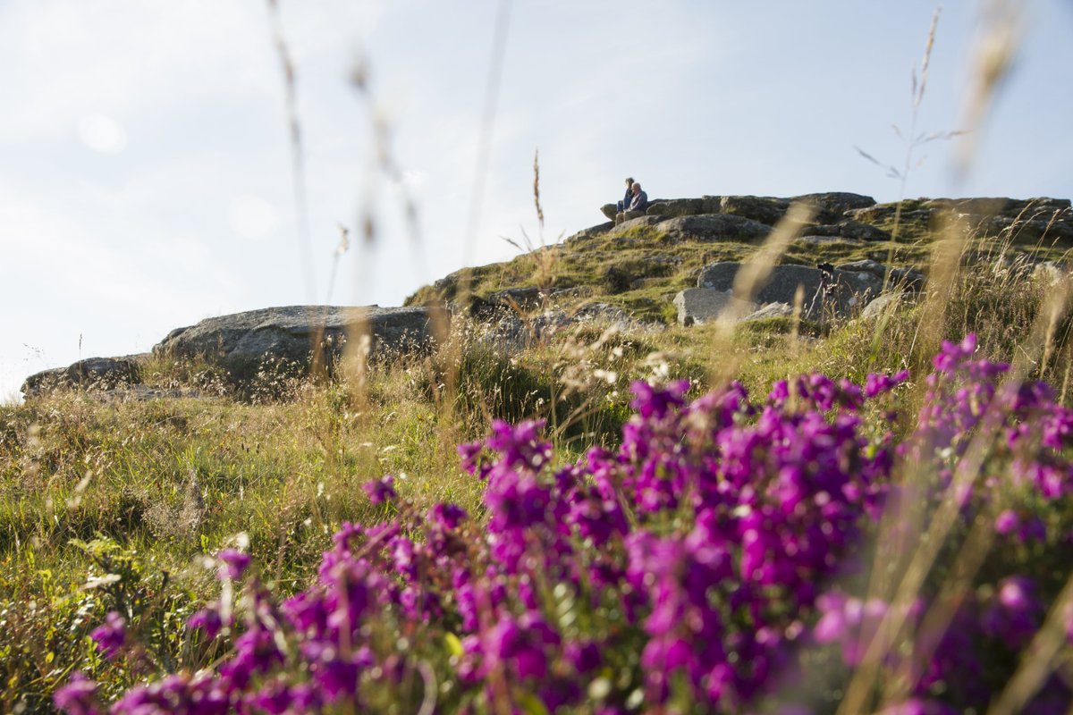 uknationalparks's tweet photo. This half term @dartmoornpa will be running a host of fun activities into May celebrating the wonderous water on Dartmoor and the animals that live there. You can also get closer to nature and join in with the Time for Nature Challenge. https://t.co/lWLnx4nog0 #JoinUpJoinIn https://t.co/oKrHxgb921