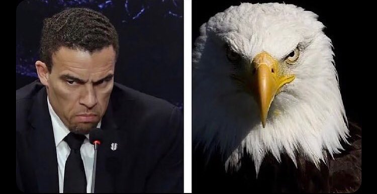 what’s the difference #BoğazınKartalı 
#BJKvTS