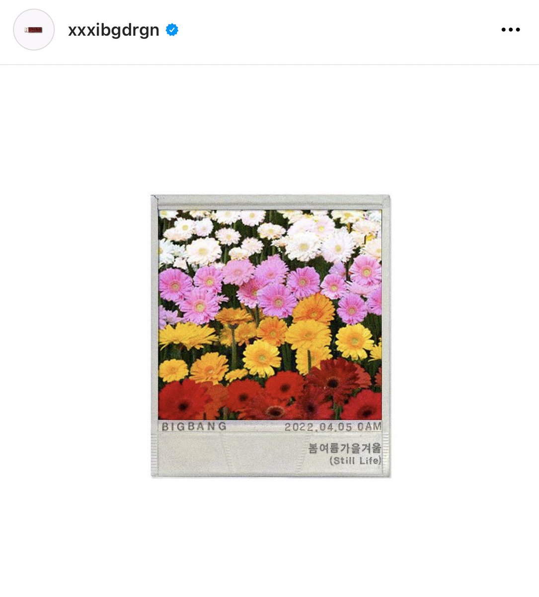 gdxp_1's tweet photo. Still Life🌼 https://t.co/XsJqMvtbpA