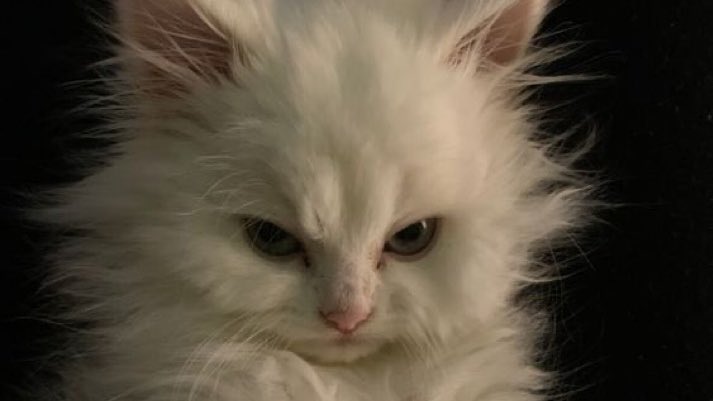 OTTOGEFESS's tweet image. otg! themm 🥺🥰❤