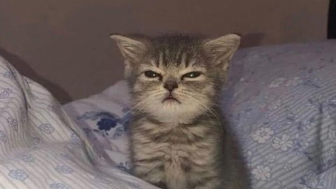 OTTOGEFESS's tweet image. otg! themm 🥺🥰❤