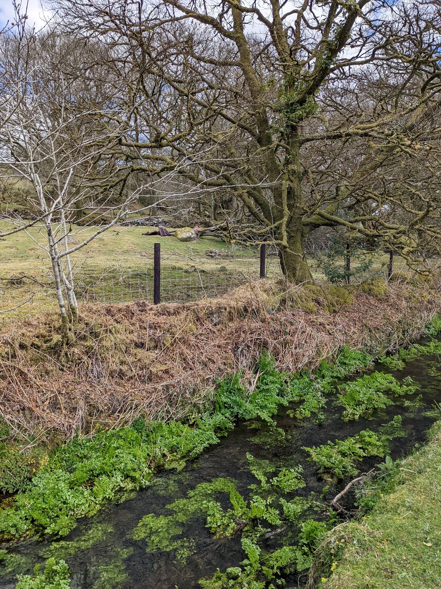 bad_1975's tweet photo. #Dartmoor #withoutacar
Nice little ride today👍🚴
No car less than 1hr from my house. How good is that? https://t.co/s6VY3EJ5qN