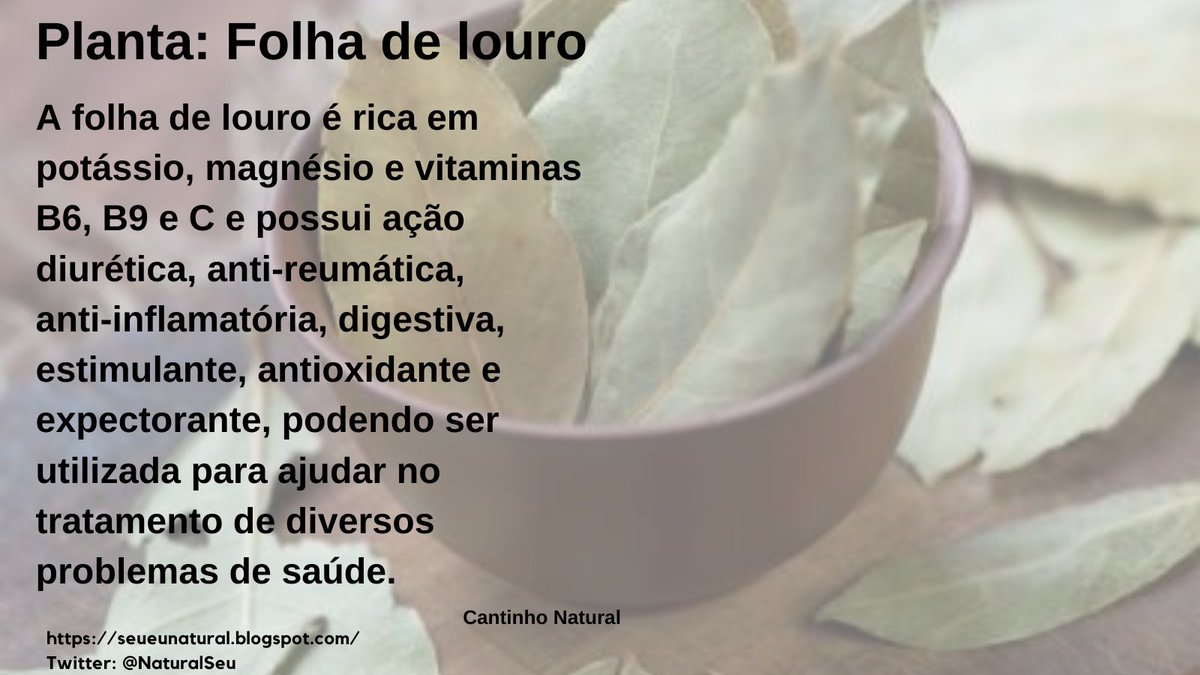 #natural #saudável #saudavel #saude
#saúde #metabolismo #sernatural
#naturalidade #contatocomanatureza
#contatonatureza #planta #nutrientes #vitaminas