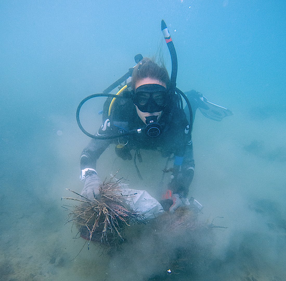 blackturtledive's tweet image. Well done to our Ocean ambassadors for cleaning our local ocean of another 91kg of trash 🥳 🤙Every piece of trash collected from the Ocean makes a huge difference and prevents harm to marine life!🐠🐢
Join: blackturtledive.com/conservation/m…

#marineconservation #scubadiving #adventure