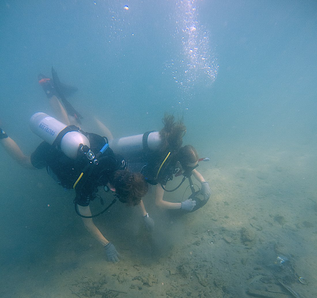 blackturtledive's tweet image. Well done to our Ocean ambassadors for cleaning our local ocean of another 91kg of trash 🥳 🤙Every piece of trash collected from the Ocean makes a huge difference and prevents harm to marine life!🐠🐢
Join: blackturtledive.com/conservation/m…

#marineconservation #scubadiving #adventure