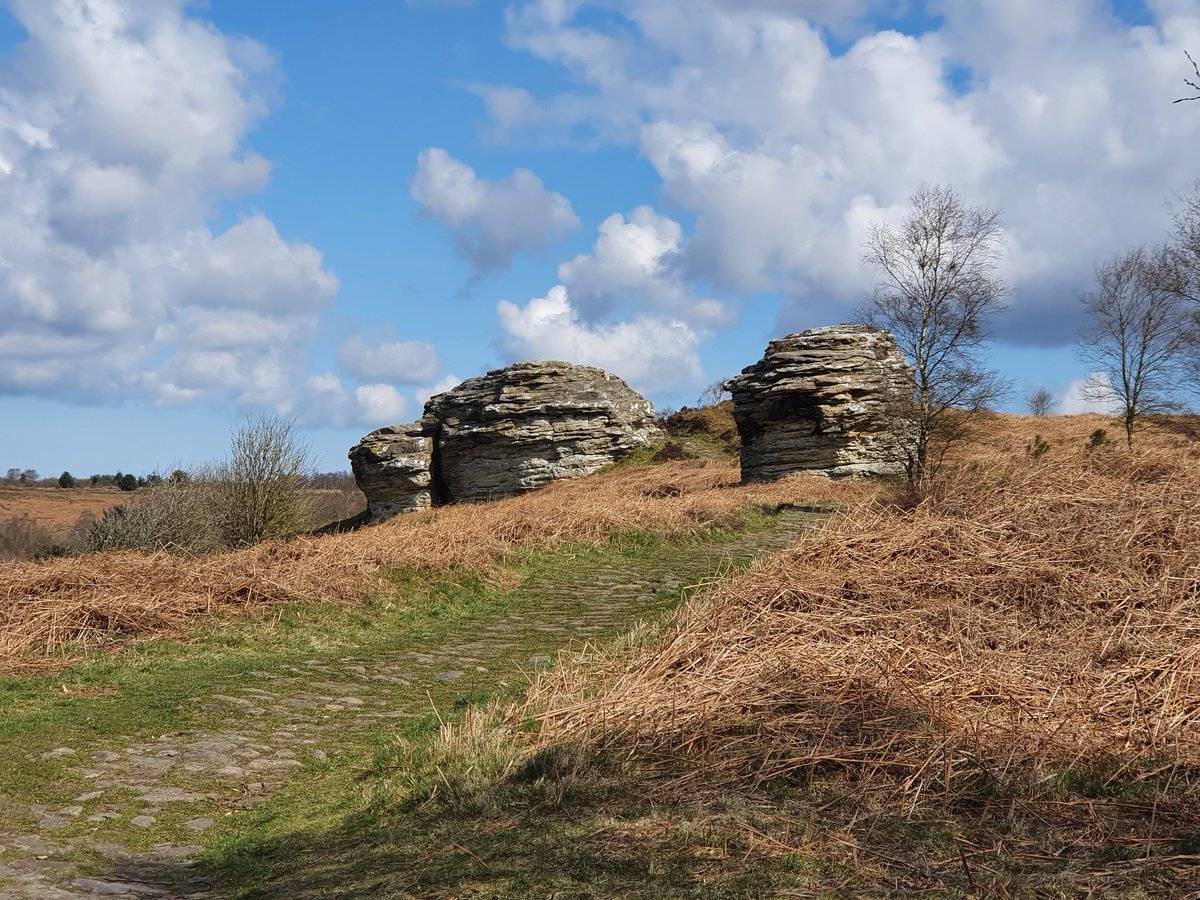 MrsJeffsGg's tweet photo. Investigating ecological succession at Bridestones Moor. Another brilliant day thanks to Jill and Jane from
@CranedaleCentre and pupils and staff from @PlantbrkSchool https://t.co/Vh2o5fFGjH