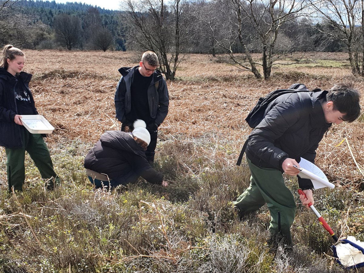 MrsJeffsGg's tweet photo. Investigating ecological succession at Bridestones Moor. Another brilliant day thanks to Jill and Jane from
@CranedaleCentre and pupils and staff from @PlantbrkSchool https://t.co/Vh2o5fFGjH