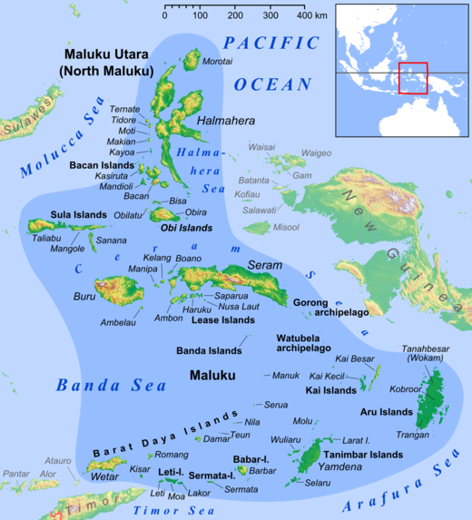 228Magellan's tweet photo. November 8th, 1521. We arrived at the Moluccas islands, more precisely in Tidore. https://t.co/xKpf0gVIlV
