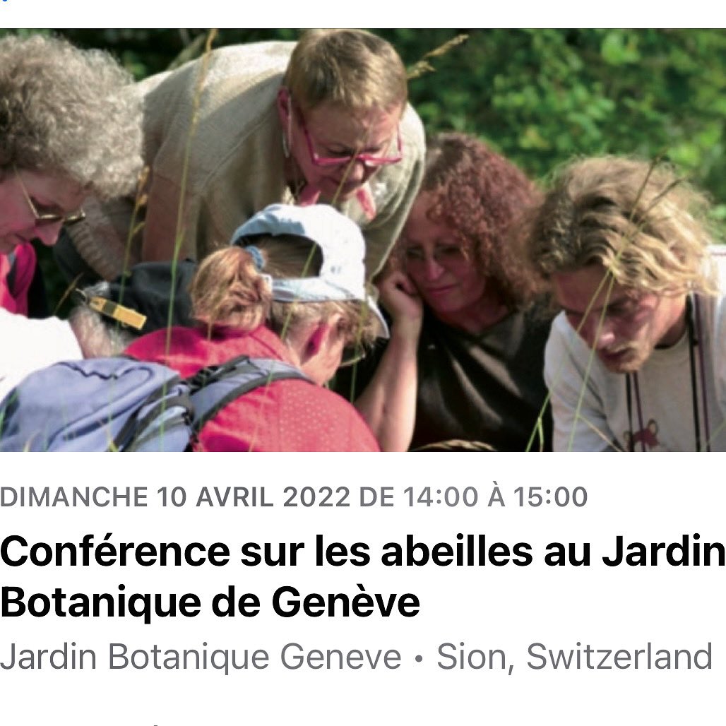 WildBeesProject's tweet photo. Conférence sur les abeilles sauvages organisée par l'Association des Amis du Jardin Botanique de Genève et animé par le @WildBeesProject 
Plus d'informations et inscription obligatoire sur le site de l'AAJB : https://t.co/zNbvn1m36A https://t.co/QwiyKx1Lf5