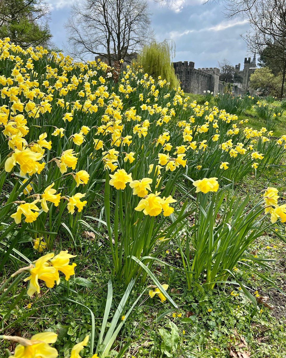MrsLowriAJones's tweet photo. Wâc braf gyda @jonesevan83 @buteparkcardiff #carucaerdydd #gwanwyn https://t.co/lbLoNE1qMa