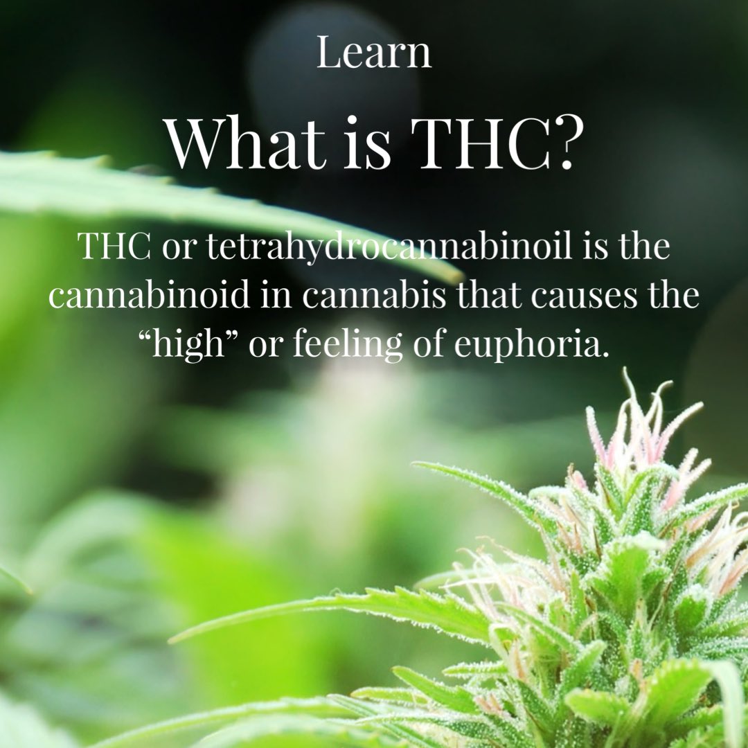 WeedOrganic's tweet photo. What is THC? Learn more about cannabis at https://t.co/6ce9kEaSdn 🌿📚                                                           #organic #organiccannabis #organicweed #cbd #weedorganic #isyourweedorganic https://t.co/btDkHl5ZEf