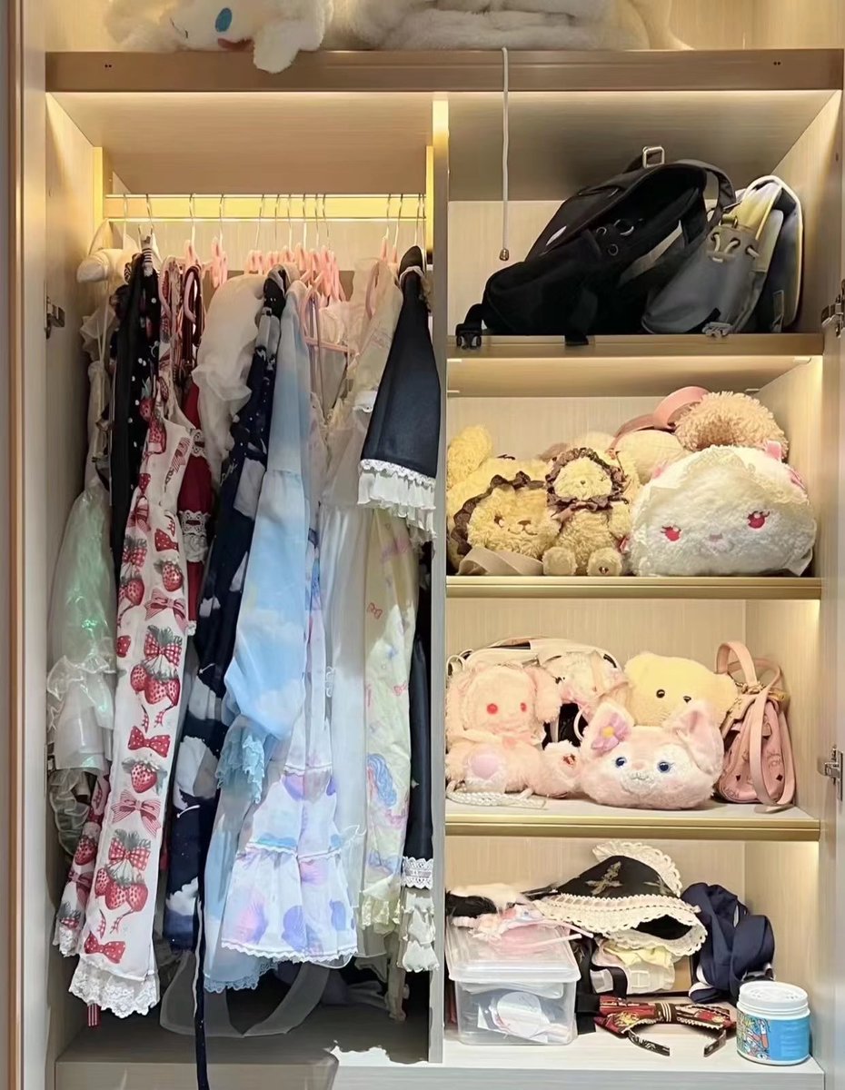 LLrourou520's tweet photo. 衣服都要放不下了… https://t.co/SgjDfhMuzN
