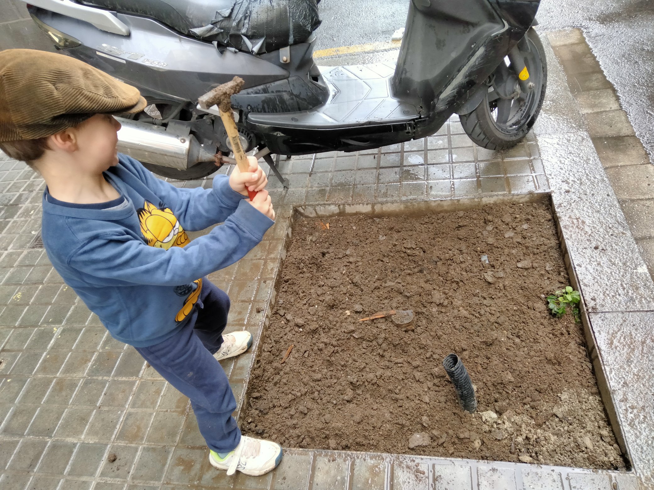 fleurs dans Barcelone