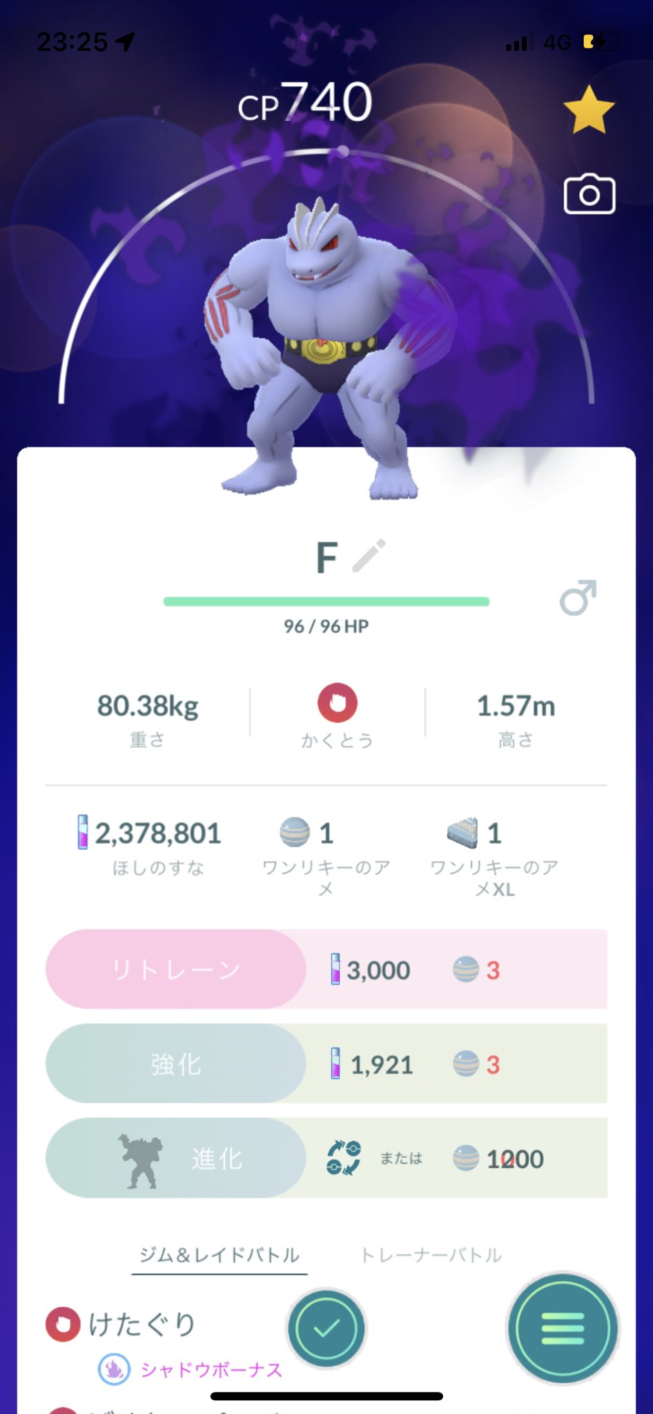 シャドウカイリキー Twitter Search Twitter