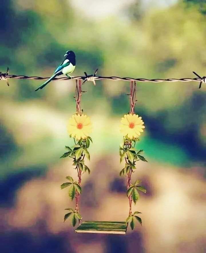 É de surpresas, delicadezas, emoções e de alegria, que a gente faz bonito o nosso dia...
Bom dia!!!🌼🌻🌹🎈