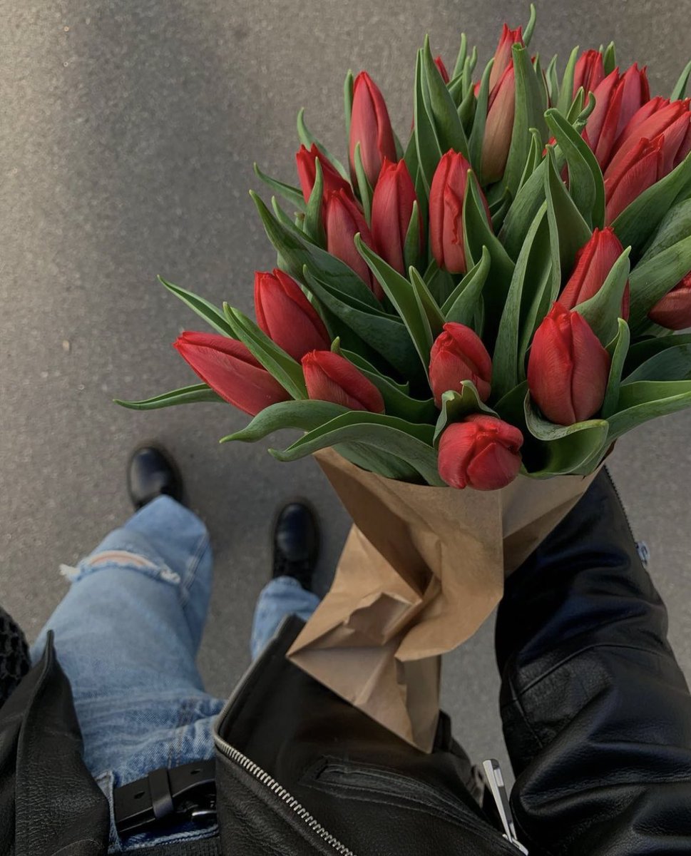 aestheticspost_'s tweet image. red tulips