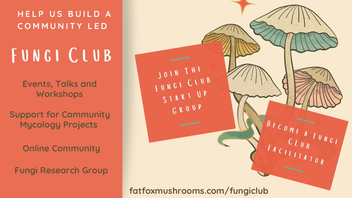 FatFoxMushrooms's tweet photo. 🍄 Mad about #mushrooms? 🍄 We’re seeking a group of creative #fungi enthusiasts to help us build a Fungi Club community in #London. Find out more at 👉 https://t.co/2oHVBwD5Aa 🙏 RT #Londonfungi https://t.co/h7rYqgeaFY