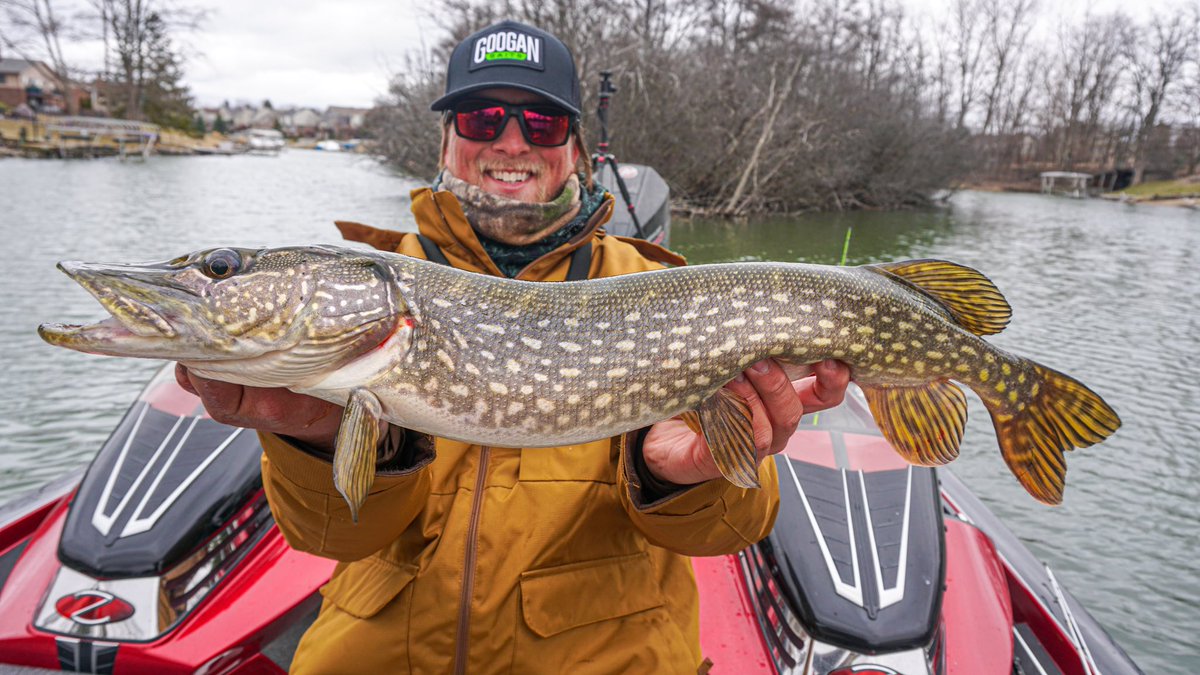 Extreme.Outdoorsmen tweet media