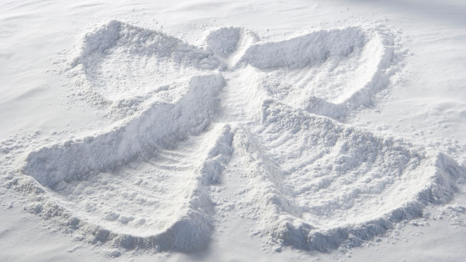 City of Ottawa on X: "As snow is on the way out, we want to say thank you  to all the Snow Angels in #OttCity. Help us show appreciation and nominate a