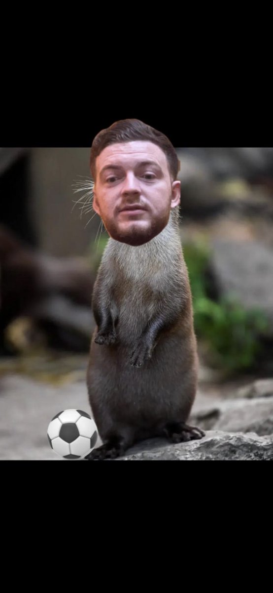 Our new mascot thank you Parklife.