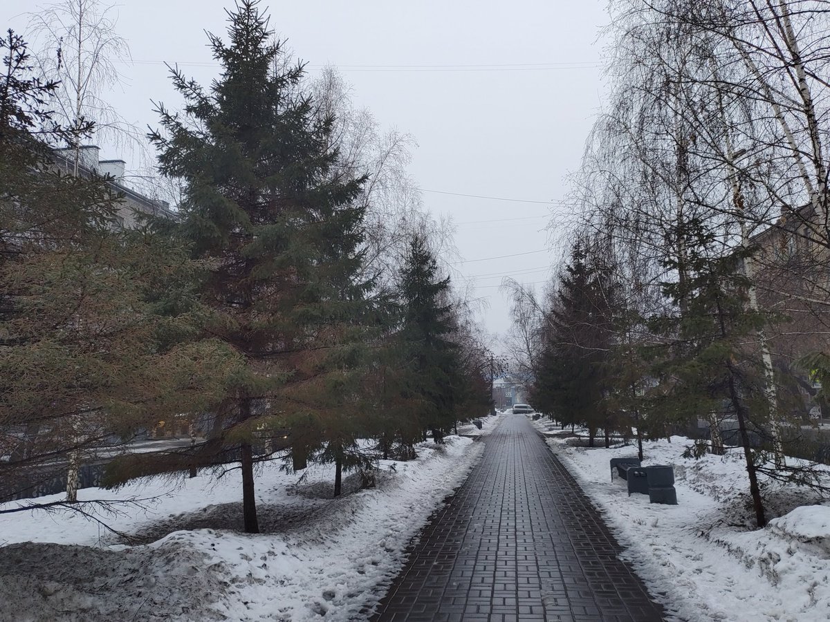 ProSlastena's tweet photo. Наконец-то добралась до Новосибирска. Более-менее очнулась после 25 часов без сна, почти 3 часов полета в зоне турбулентности, смены температуры с +18 до 0 и смены часовых поясов на +4. Погода и город мне нравятся, но доверять погодным сервисам нельзя😆 https://t.co/tvAE6g4rCc