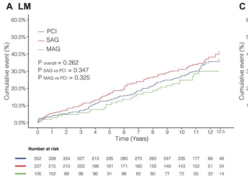BURZOTTA_F's tweet photo. Have a careful look on 10-year survival curves for #LM patients in this #SYNTAXES substudy: no benefit for multiple arterial #CABG vs. #PCI !!! Important figure for #heartteam discussions. https://t.co/Qo4sCrmKZ5