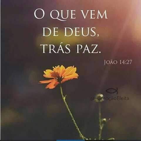 Domingo é um dia chato, eu não gosto. Não sei dizer porquê.