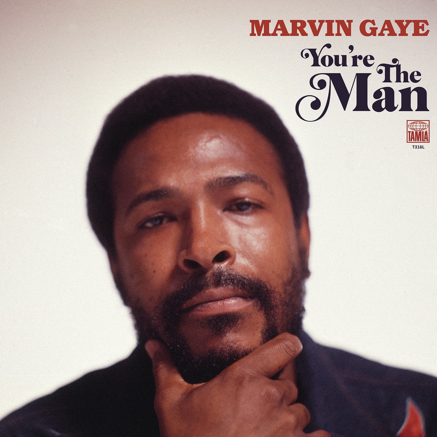 Happy belated heavenly birthday to King Marvin Gaye             