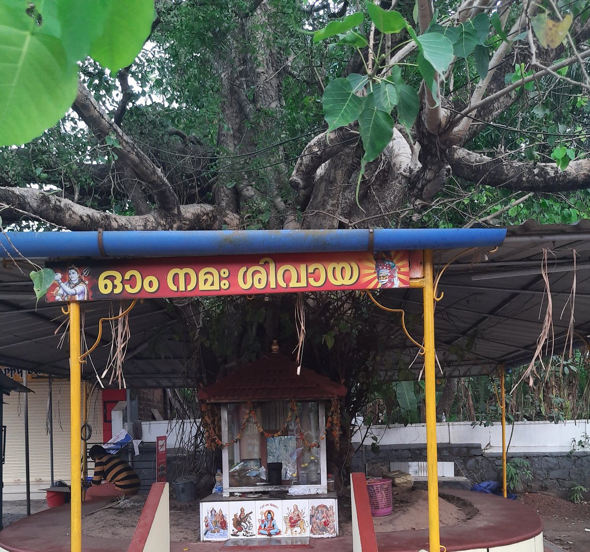 DineshMakuny's tweet photo. The trees need to be worshipped ,for the Gods literally reside in them. 
Sadly they get mercilessly cut for widening of the roads .A big price to pay for development.
#treeGods
#SaveSoilMovement
#deforestation 
#ClimateCrisis 
#ClimateActionNow 
#naturelovers https://t.co/dBVHqsFGxh