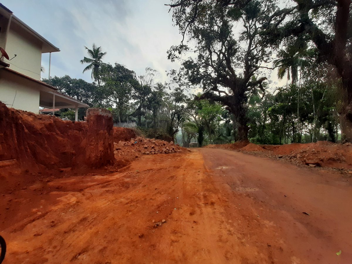 DineshMakuny's tweet photo. The trees need to be worshipped ,for the Gods literally reside in them. 
Sadly they get mercilessly cut for widening of the roads .A big price to pay for development.
#treeGods
#SaveSoilMovement
#deforestation 
#ClimateCrisis 
#ClimateActionNow 
#naturelovers https://t.co/dBVHqsFGxh