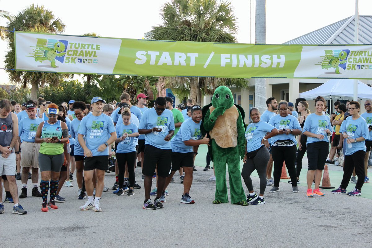 CaymanTurtle's tweet photo. Thank you to everyone that took part in our Turtle Crawl 5K this morning to help us raise funds for the conservation of Green sea turtles in the Cayman Islands! 🐢💚

#TurtleCrawl #WalkRun #CaymanIslands #SavingSeaTurtles https://t.co/O2710FGnzX