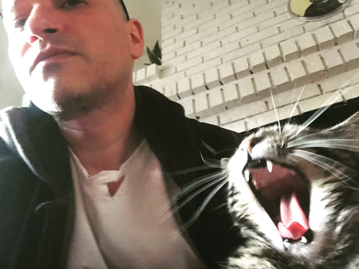 Tom Boomer Galassi (@bqqmer76) on Twitter photo 