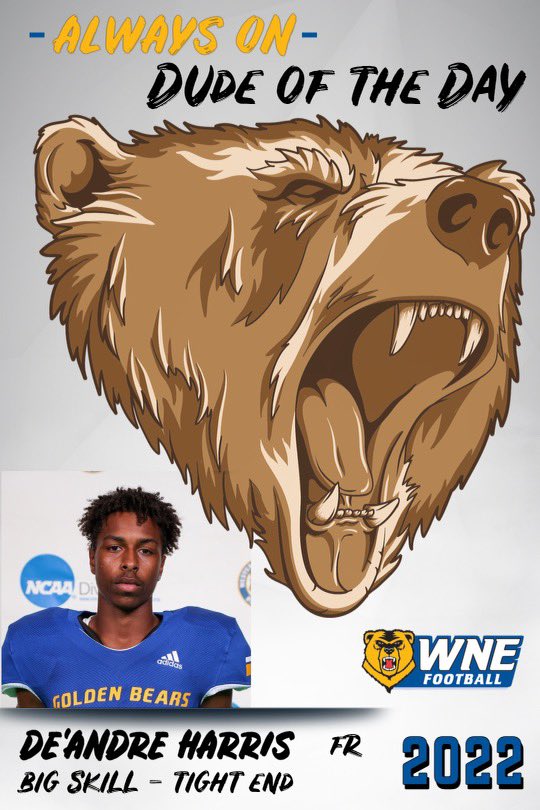 WNE Football tweet media