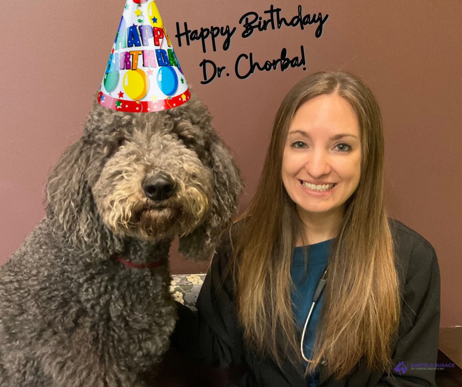 BartelsBusack's tweet photo. Happy Birthday Dr. Chorba! #BBPH #VetBDay #Running #Cats #FearFree #FancyNails #Franco #PatioVibes 🎉🩺🥳💅🏼🐈🌮🎈🐘❤️ https://t.co/BCjrIAhK6h